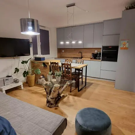 Chihuahua_Apartaments Krakow Exterior photo