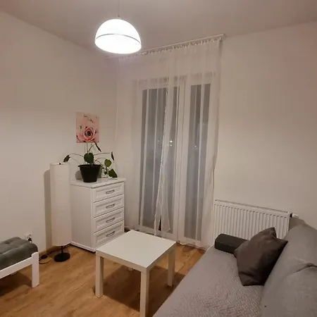 Chihuahua_Apartaments Krakow Exterior photo