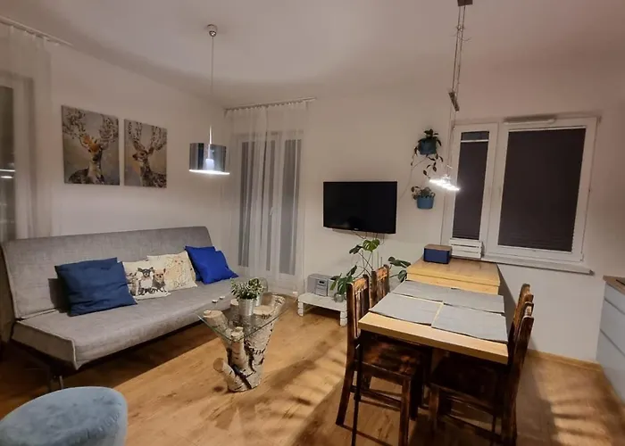 Chihuahua_Apartaments