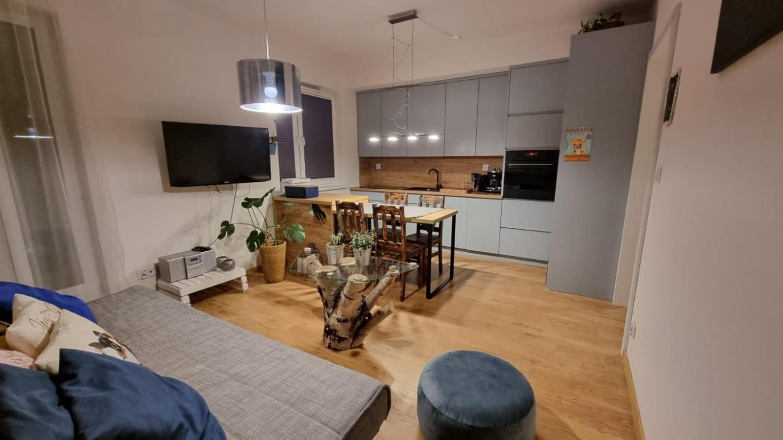 Апартаменти Chihuahua_apartaments *