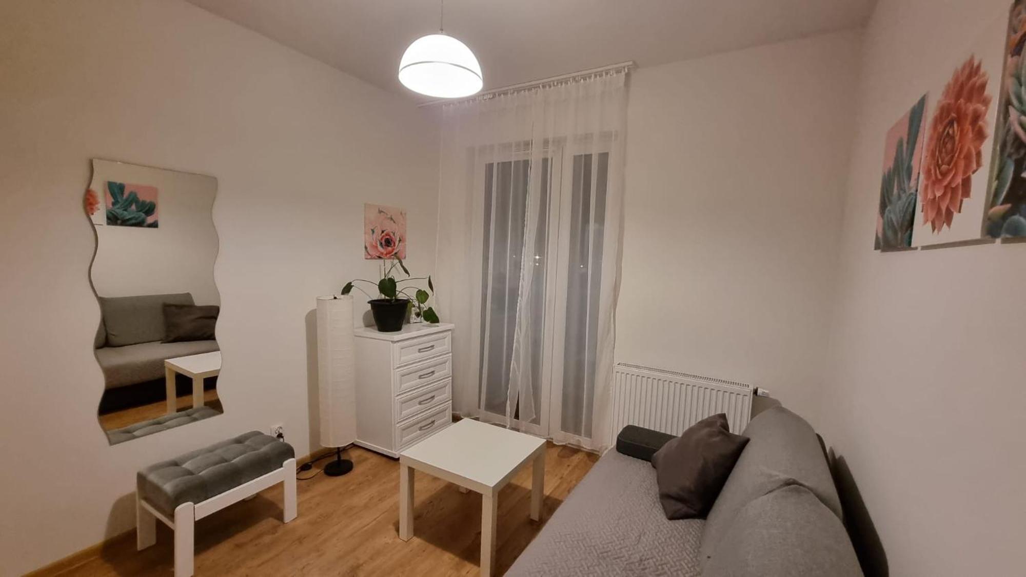 Chihuahua_apartaments Апартаменти