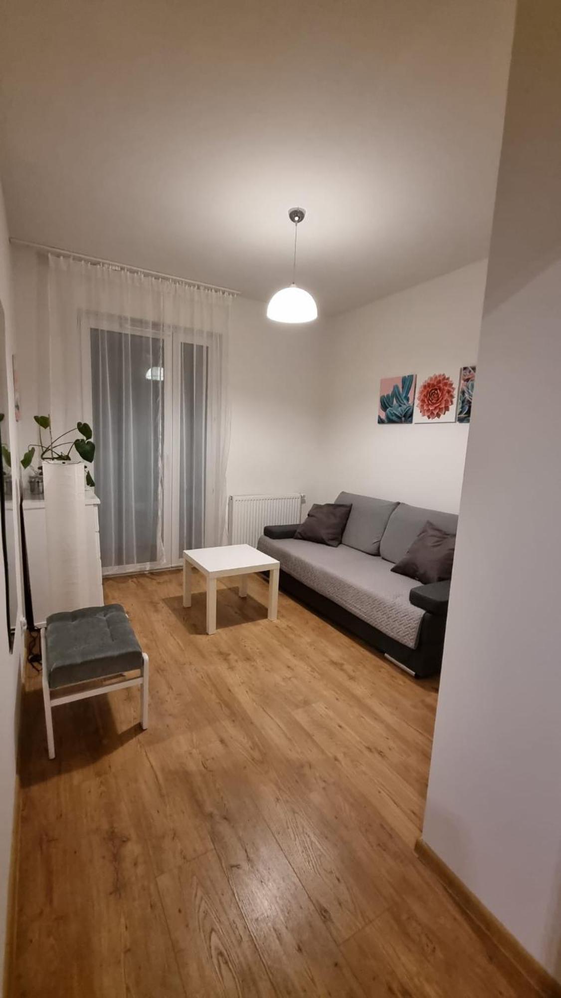Апартаменти Chihuahua_apartaments Краків
